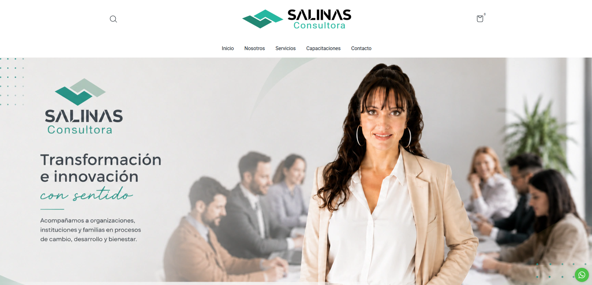 Vista del sitio web de Salinas Consultora